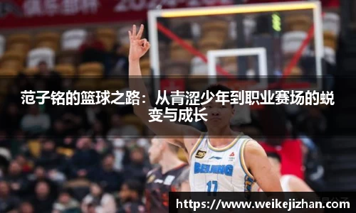 PA视讯官方网站