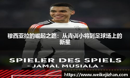 PA视讯官方网站